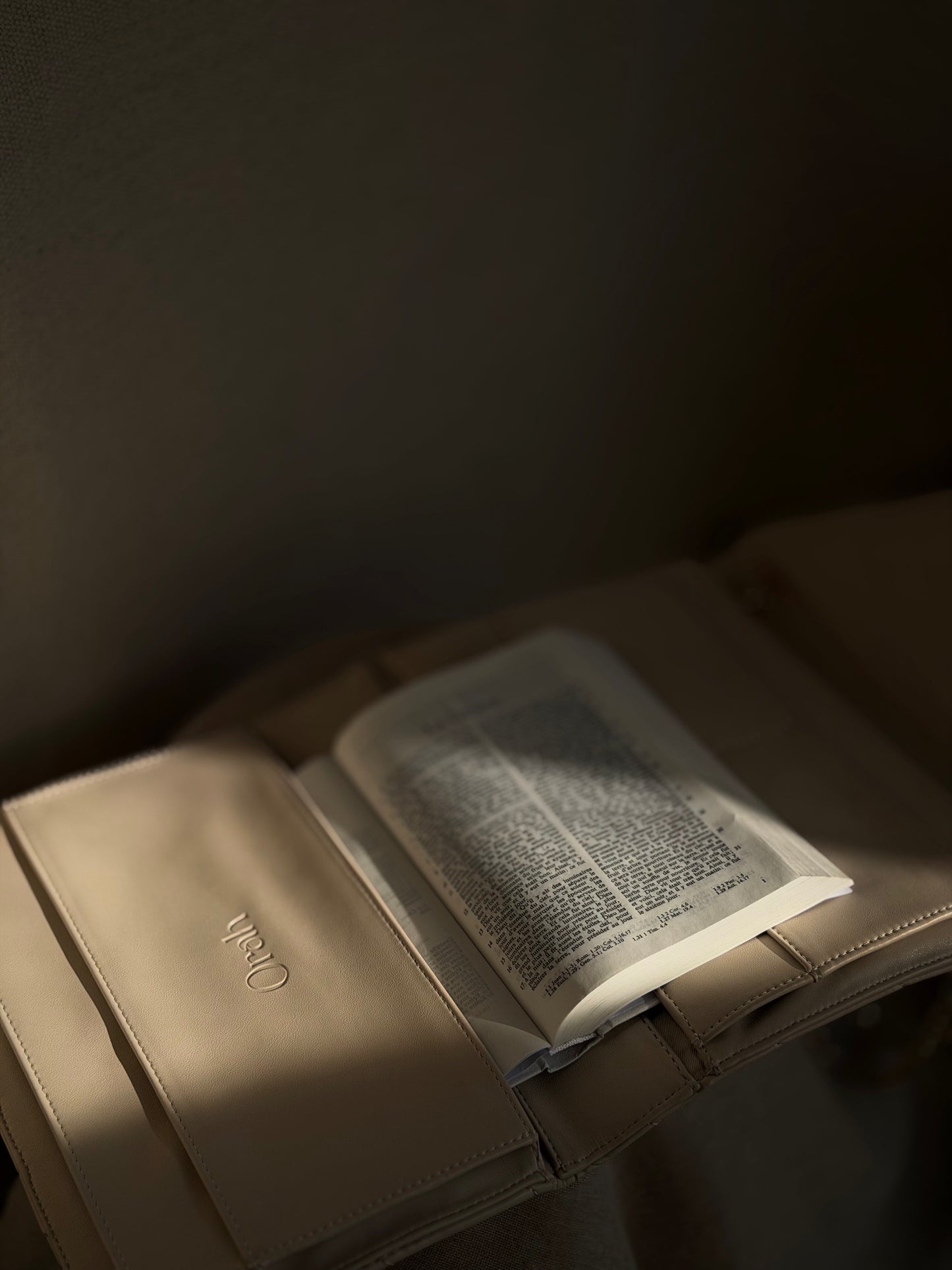 Couverture de Bible - Sable