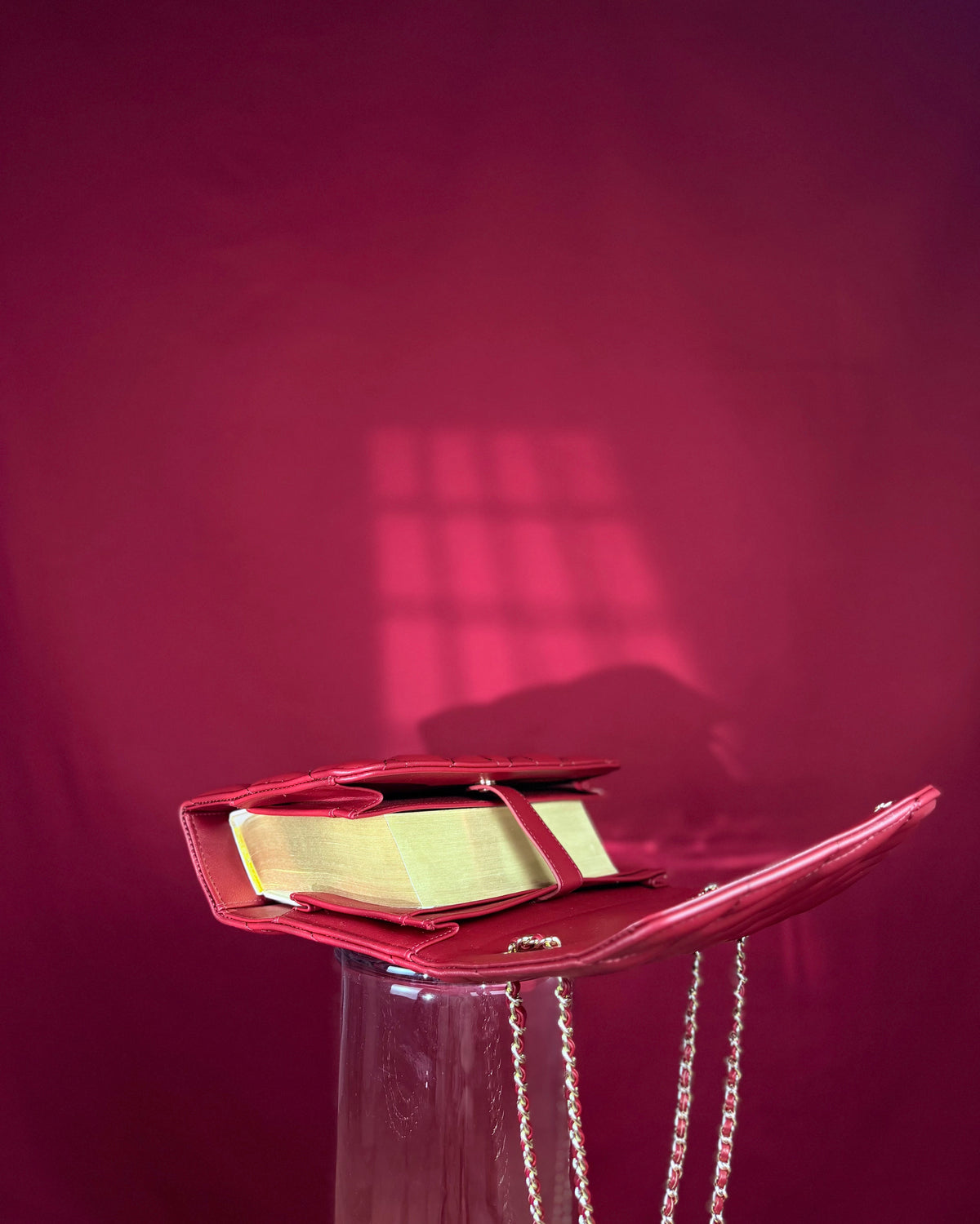 Couverture de Bible - Vigne