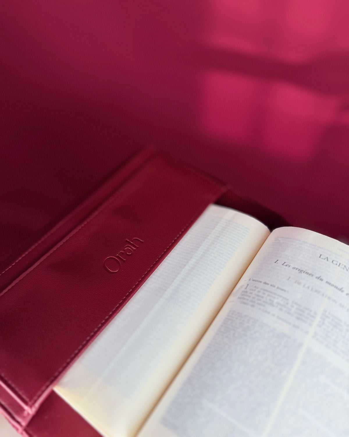 Couverture de Bible - Vigne
